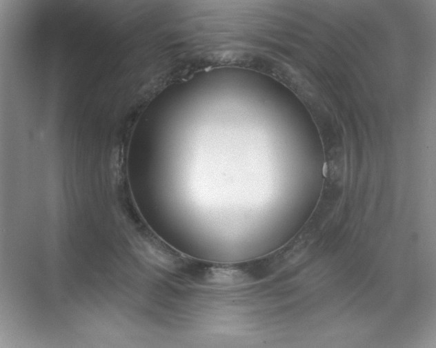 X0000068840605200605191927