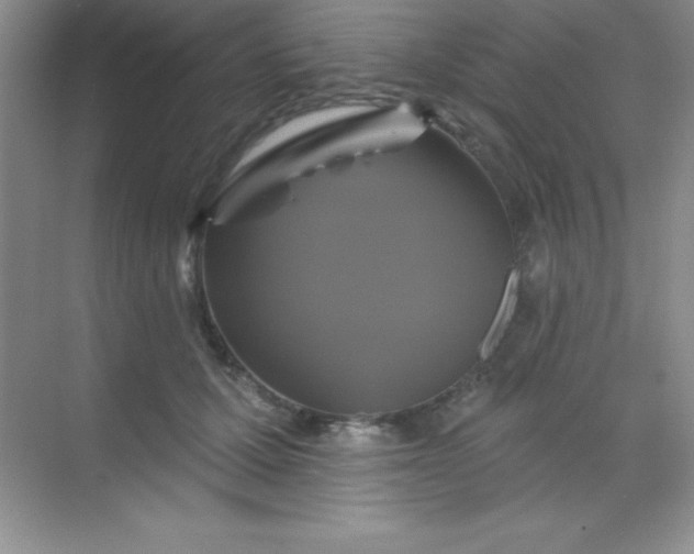 X0000068840607200605191927