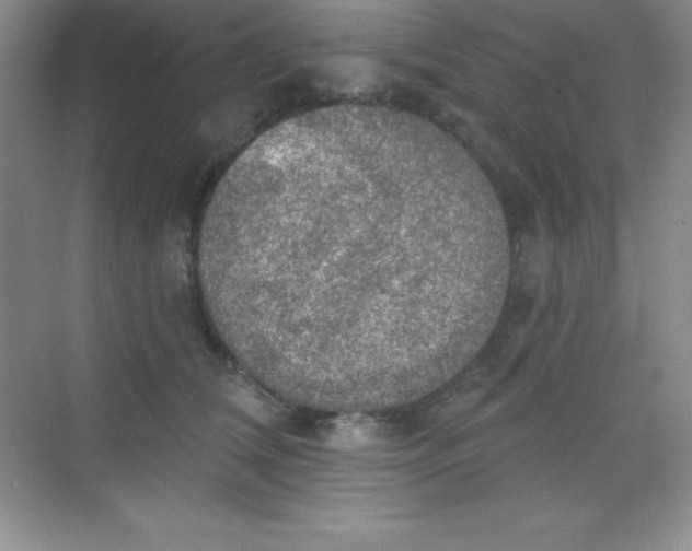 X0000068840612200605191927