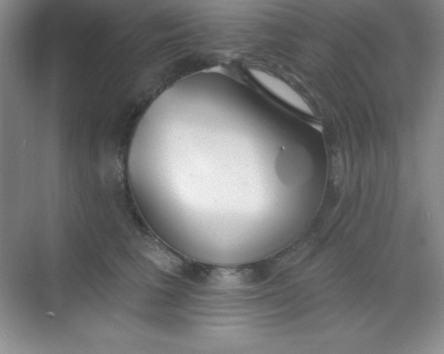 X0000068840613200605191927