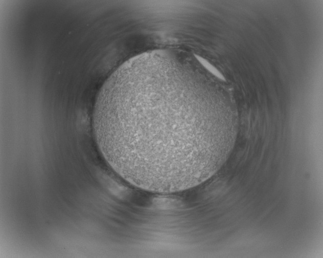 X0000068840614200605191927