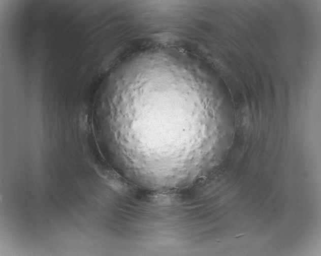 X0000068840615200605191927