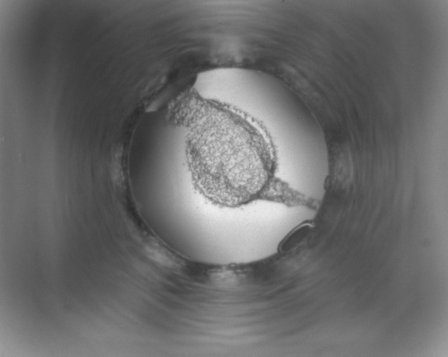 X0000068840616200605191927