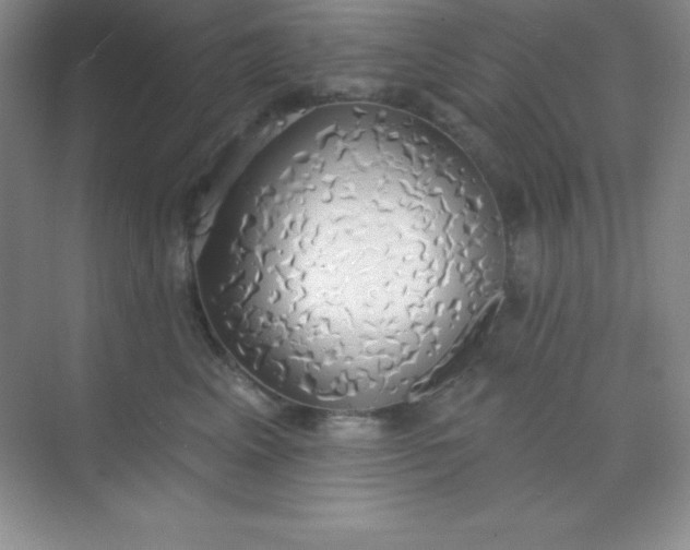 X0000068840617200605191927