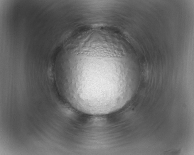 X0000068840619200605191927