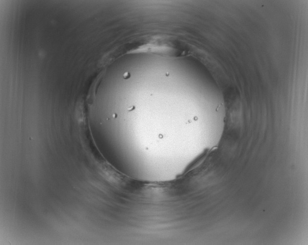 X0000068840620200605191927