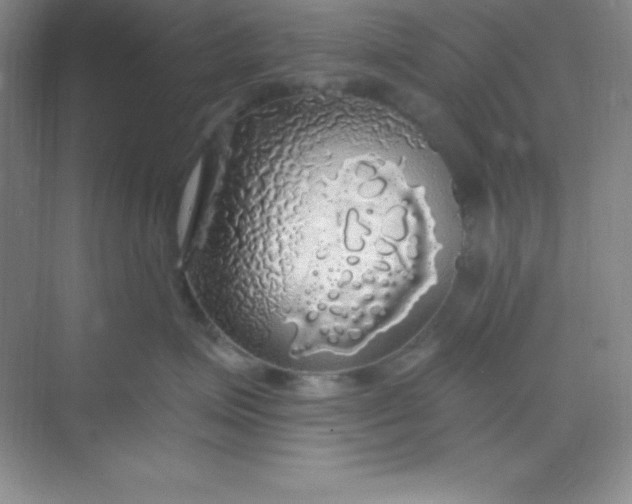 X0000068840623200605191927