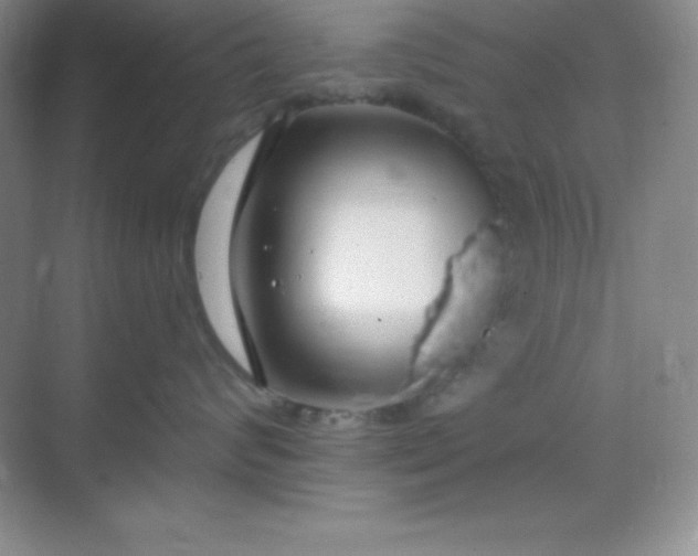 X0000068840624200605191927