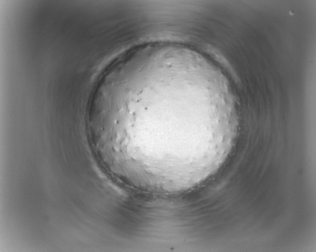 X0000068840625200605191926