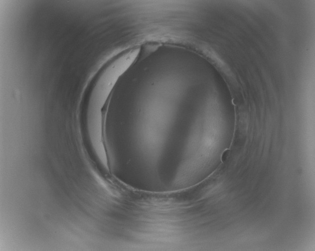 X0000068840626200605191926