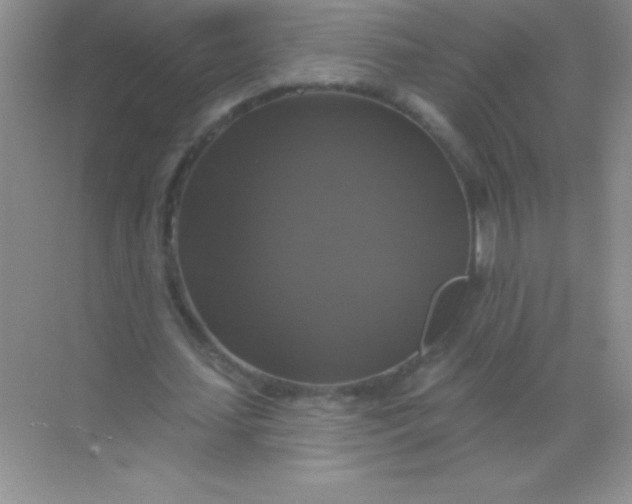 X0000068840627200605191926