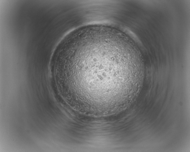 X0000068840628200605191926