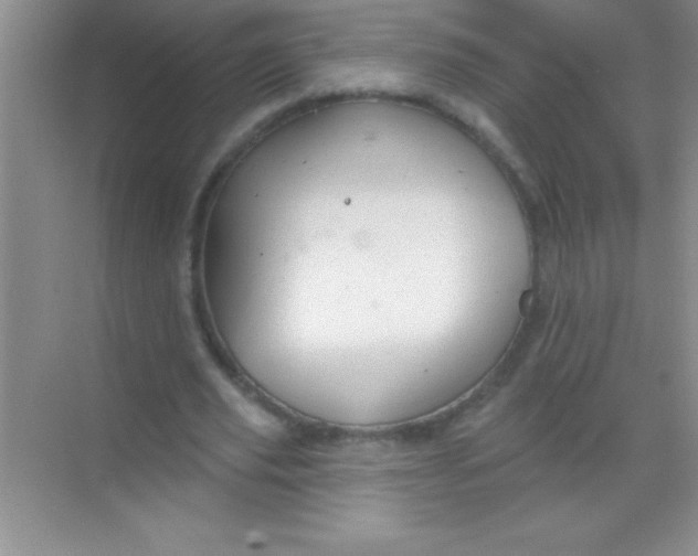 X0000068840629200605191926