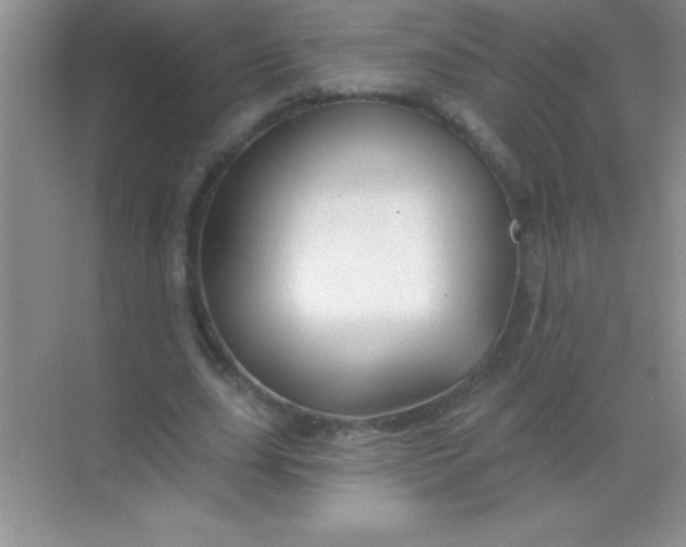 X0000068840631200605191926