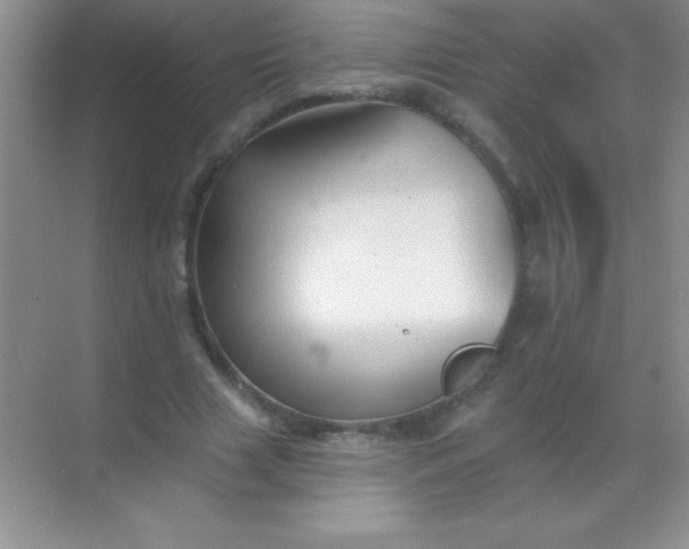 X0000068840633200605191926