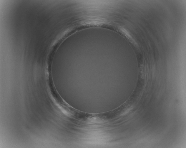 X0000068840634200605191926