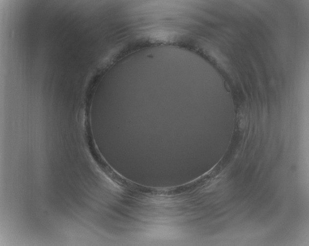 X0000068840637200605191926