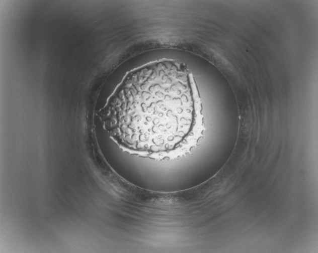 X0000068840639200605191926