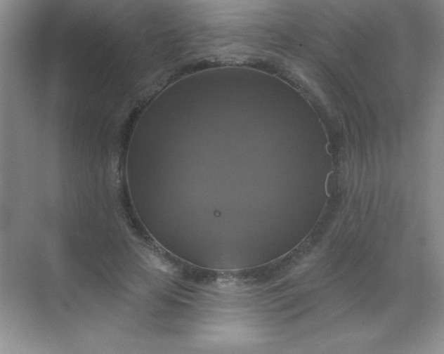 X0000068840641200605191926