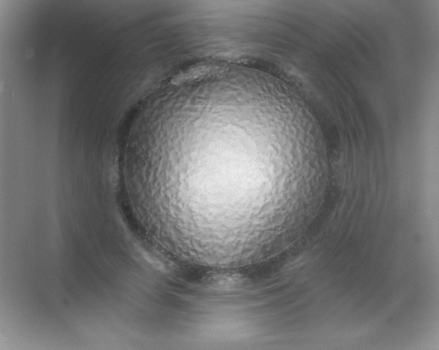 X0000068840642200605191926