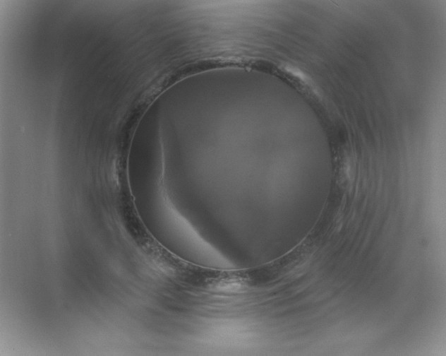 X0000068840643200605191926