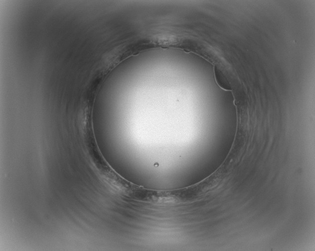 X0000068840645200605191926