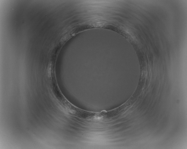 X0000068840647200605191926