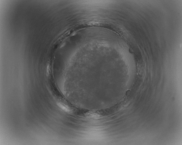 X0000068840648200605191927