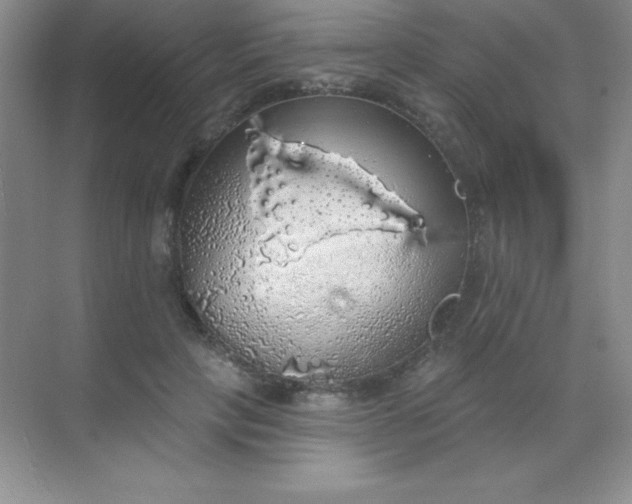 X0000068840649200605191927