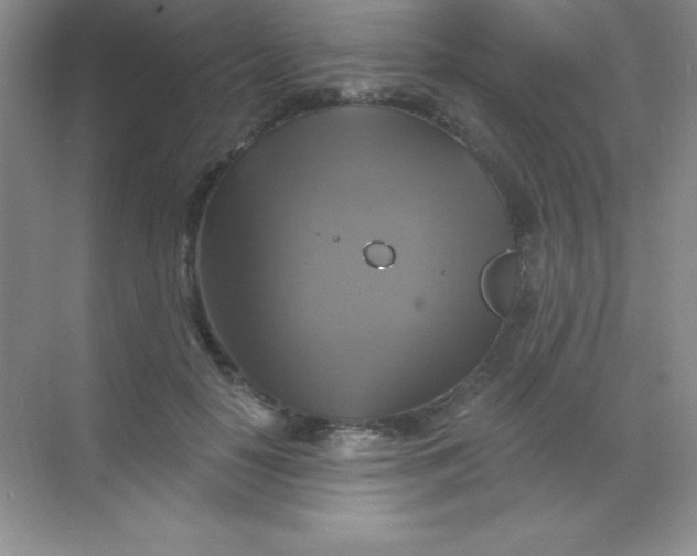 X0000068840650200605191927