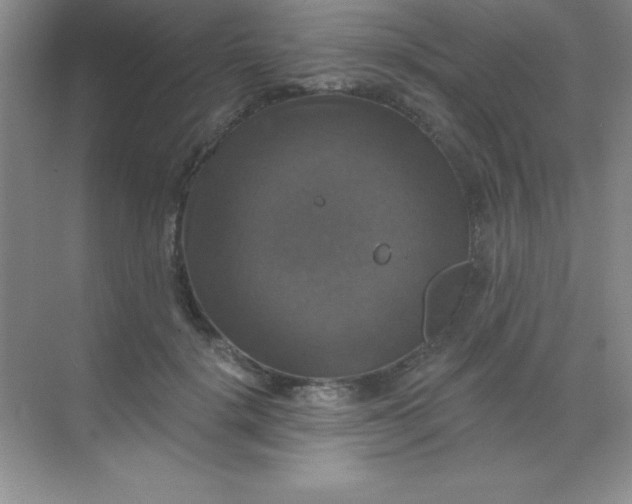 X0000068840652200605191927