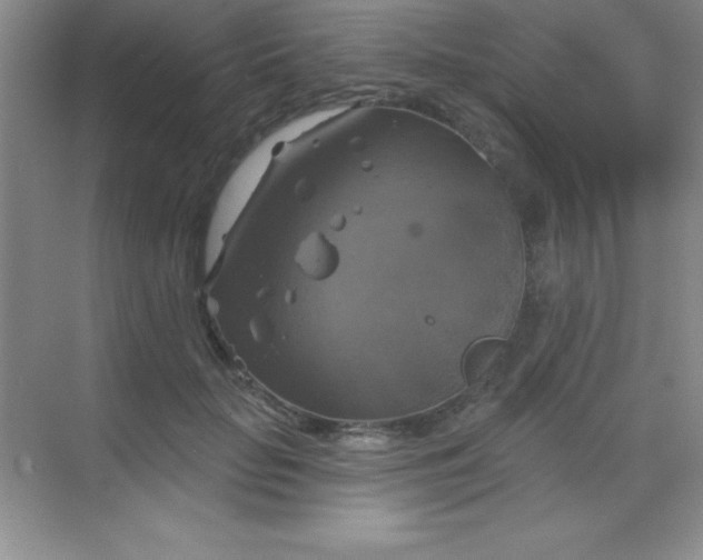 X0000068840653200605191927