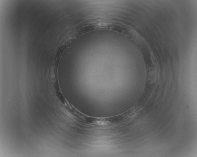 X0000068840654200605191927