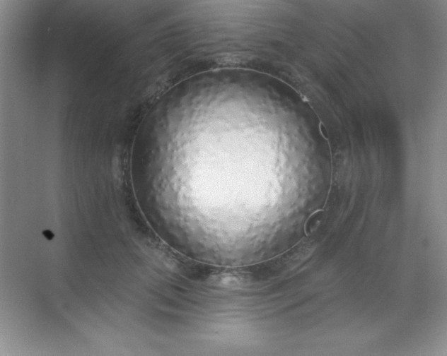 X0000068840655200605191927