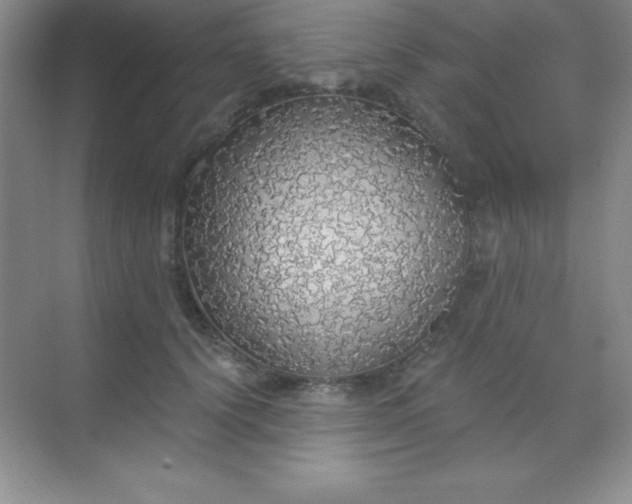 X0000068840656200605191927