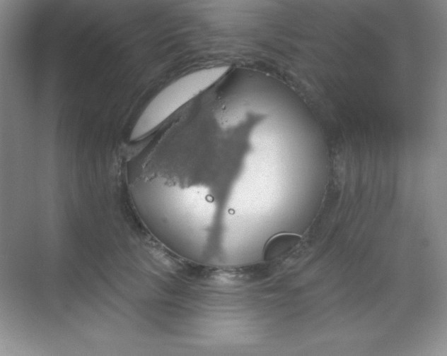 X0000068840657200605191927