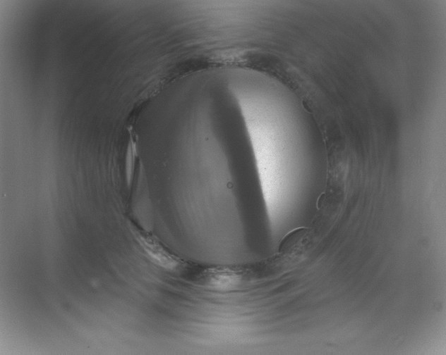 X0000068840658200605191927