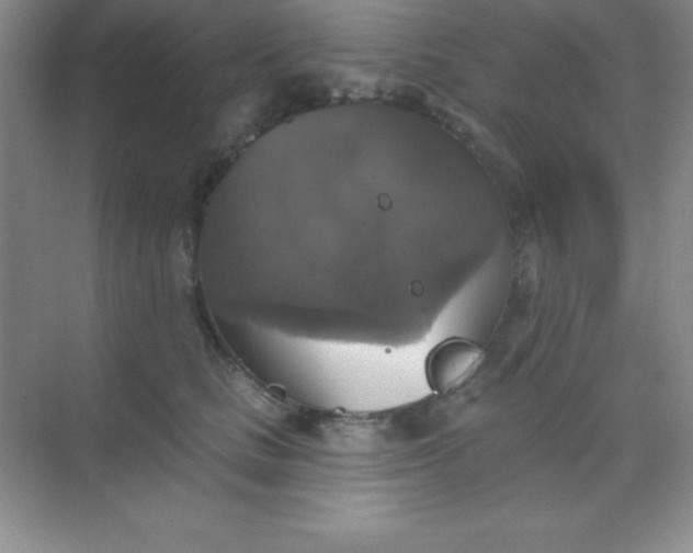 X0000068840661200605191927