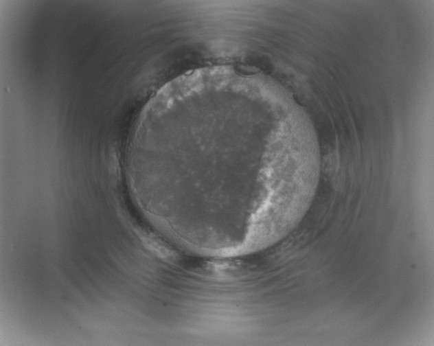 X0000068840662200605191927