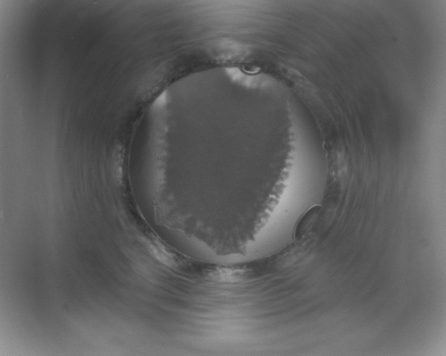 X0000068840664200605191927