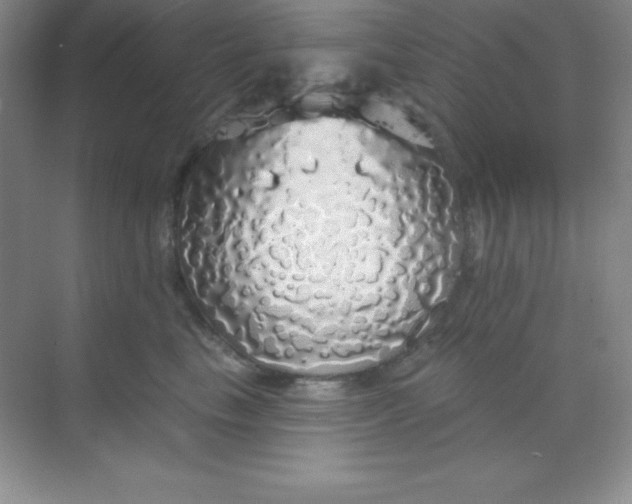 X0000068840665200605191927