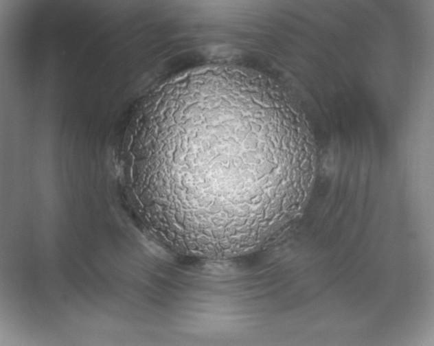 X0000068840666200605191927