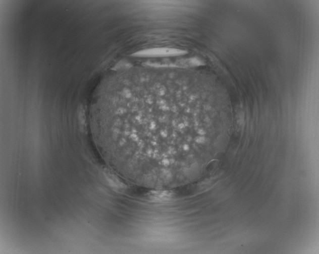 X0000068840667200605191927