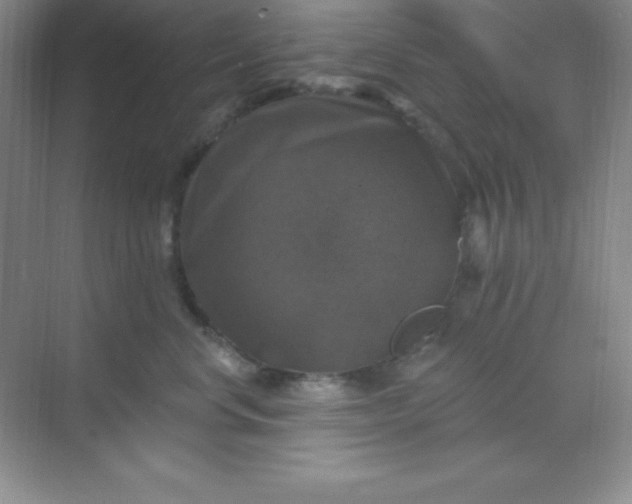 X0000068840668200605191927