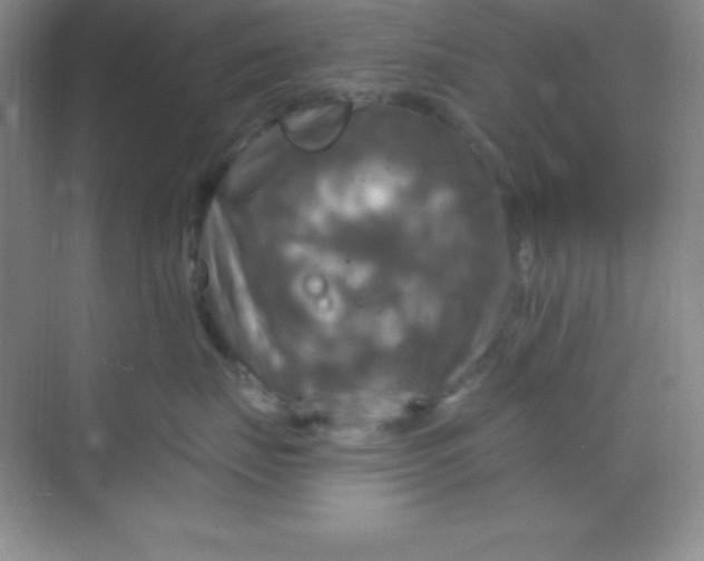 X0000068840671200605191927