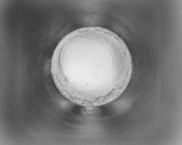 X0000068840672200605191927