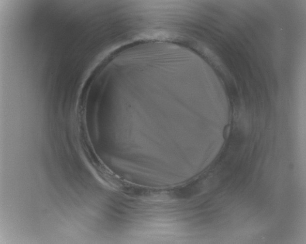 X0000068840674200605191926