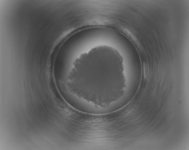 X0000068840675200605191926