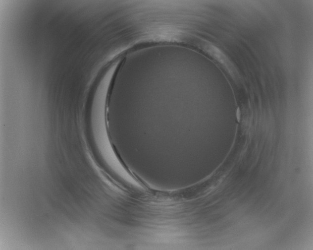 X0000068840677200605191926