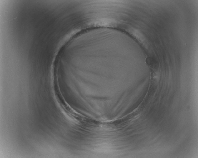 X0000068840678200605191926